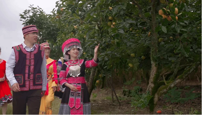 yp街机·电子游戏(中国)官方网站