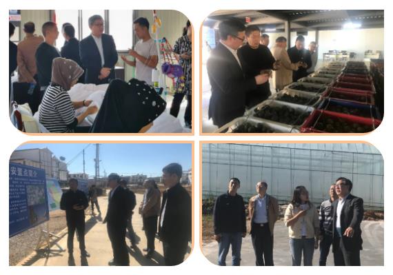 yp街机·电子游戏(中国)官方网站