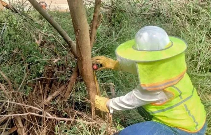 yp街机·电子游戏(中国)官方网站