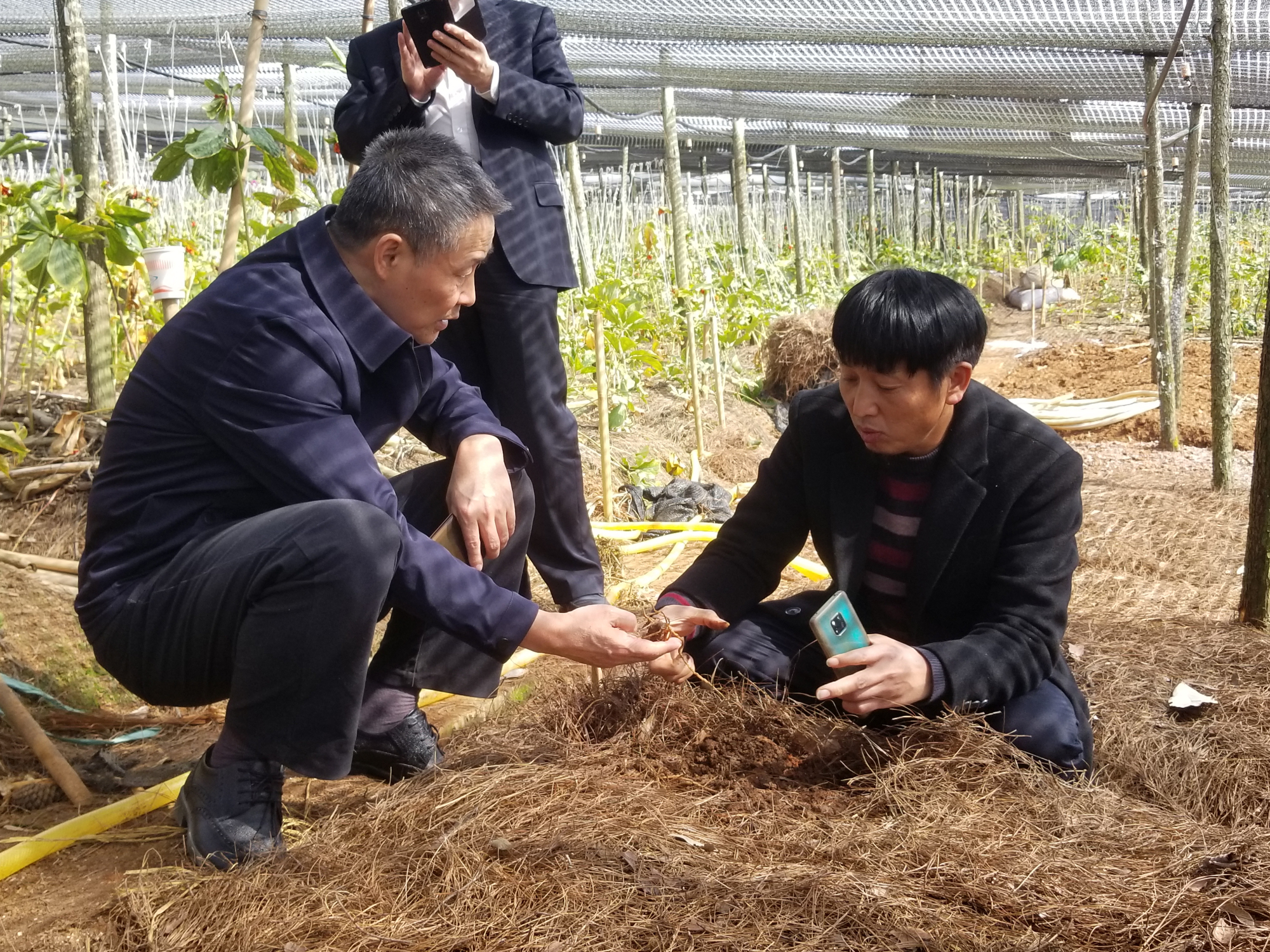 yp街机·电子游戏(中国)官方网站