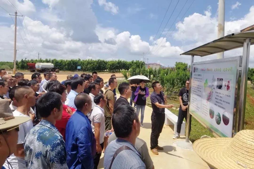 yp街机·电子游戏(中国)官方网站