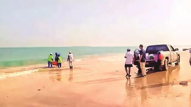 yp街机·电子游戏(中国)官方网站